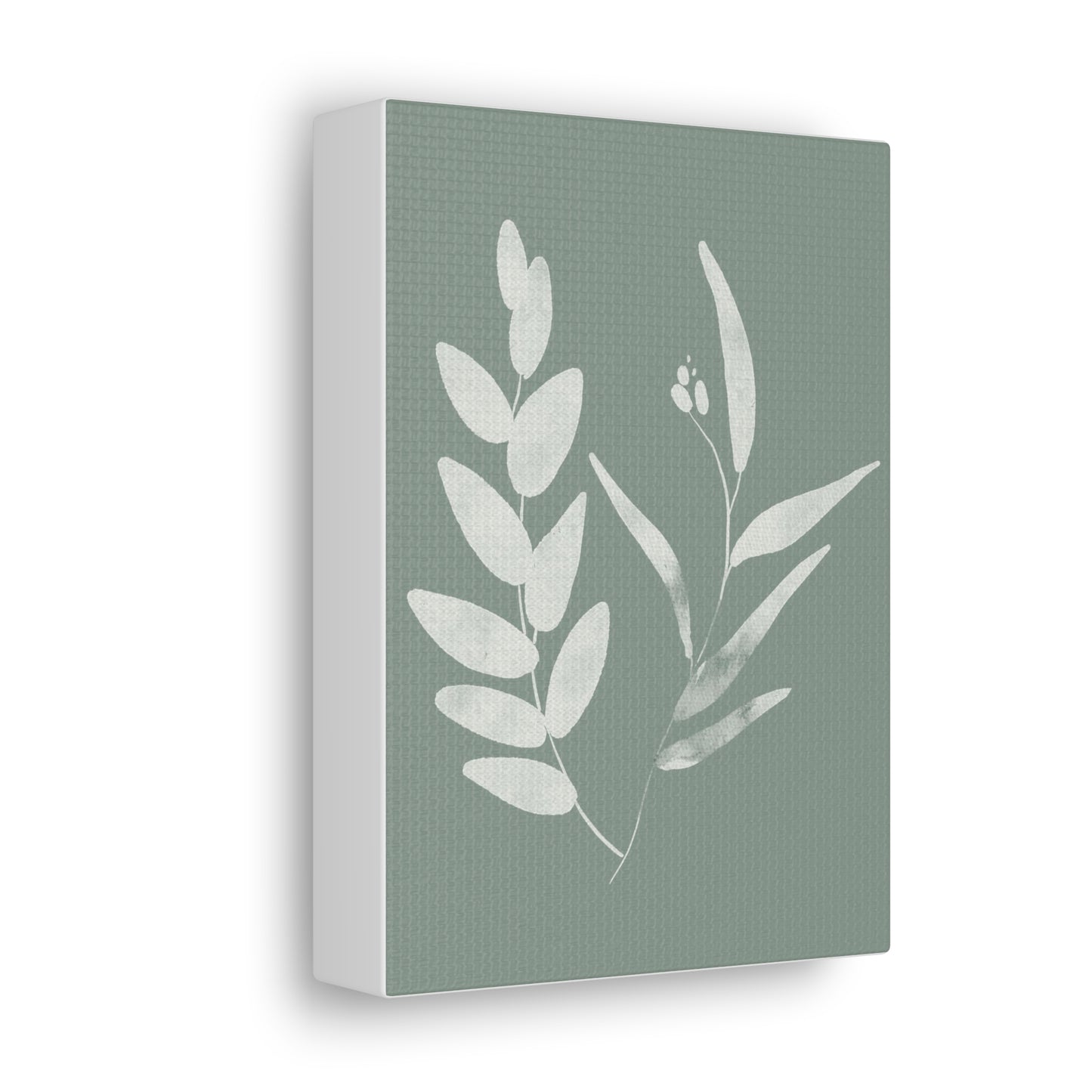 Chalky Green Plant Canvas