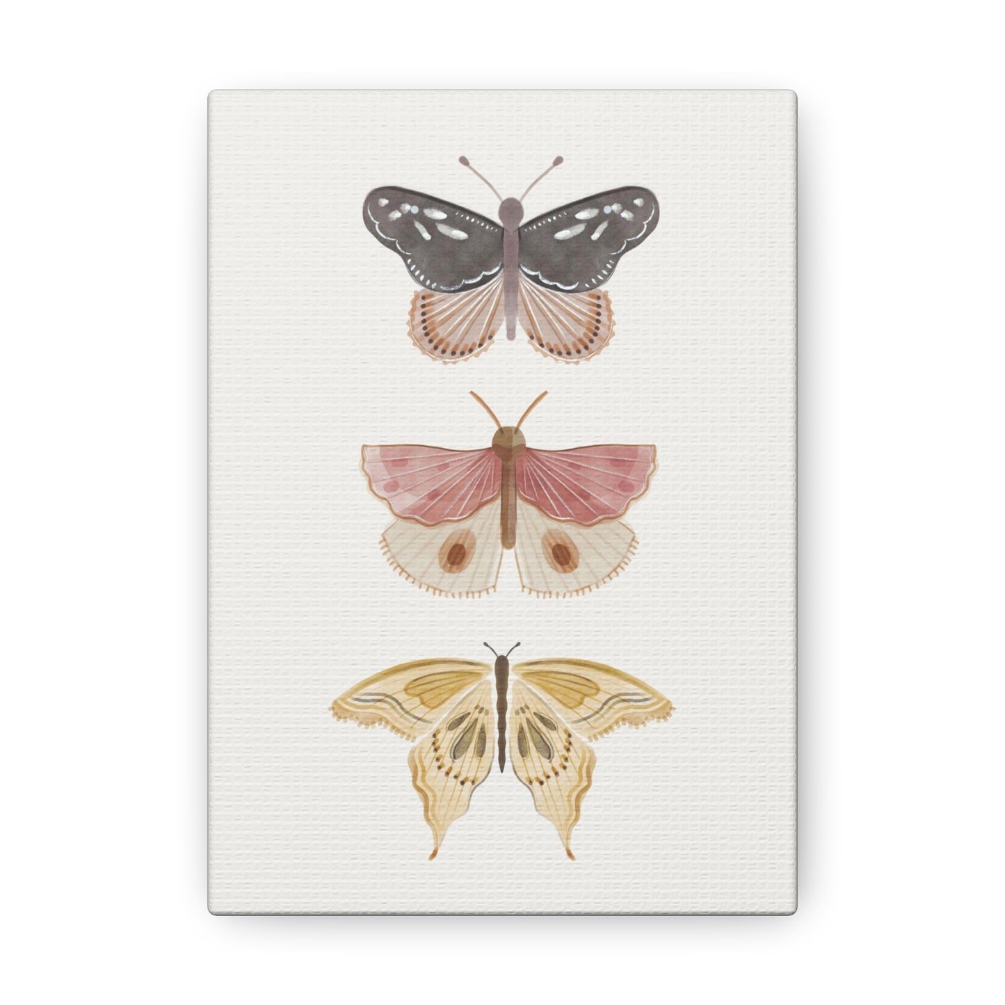 Butterfly Canvas