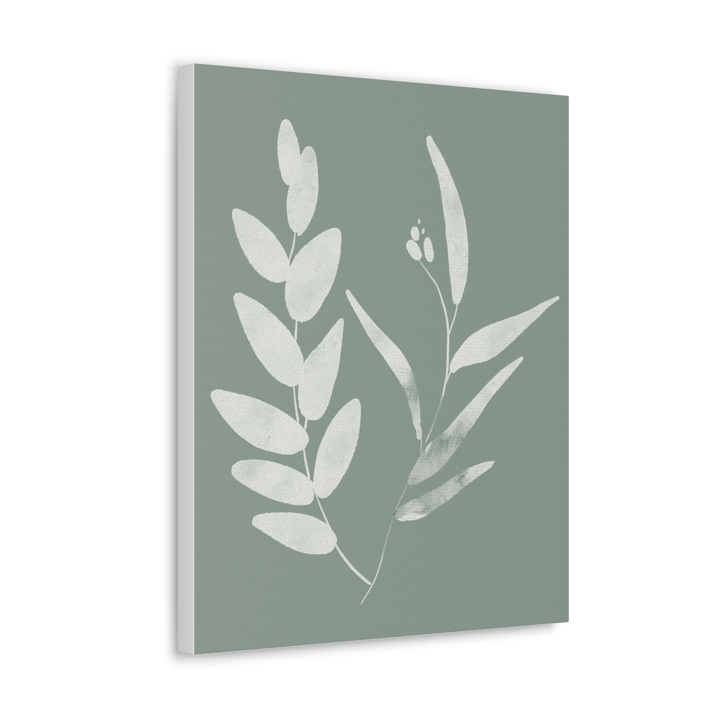 Chalky Green Plant Canvas