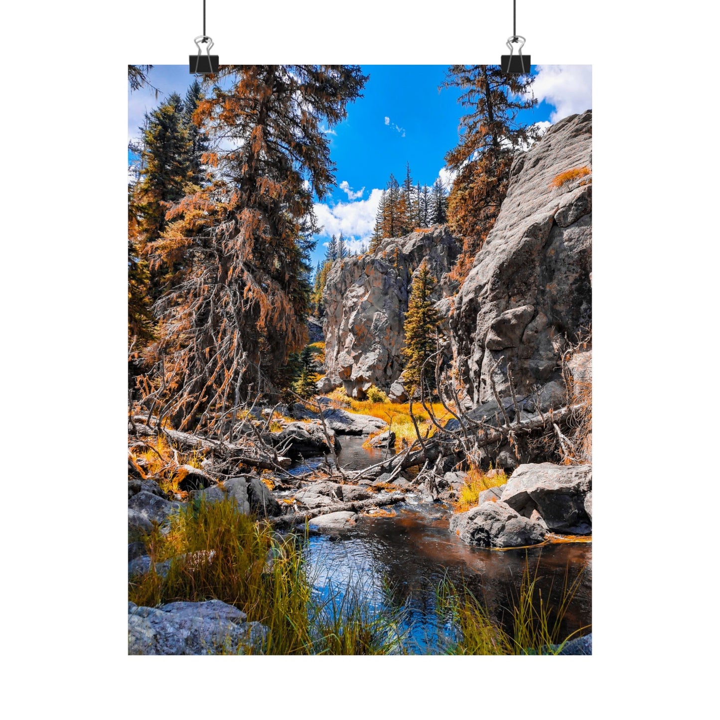 Autumn Stream Art Print (frame not included)