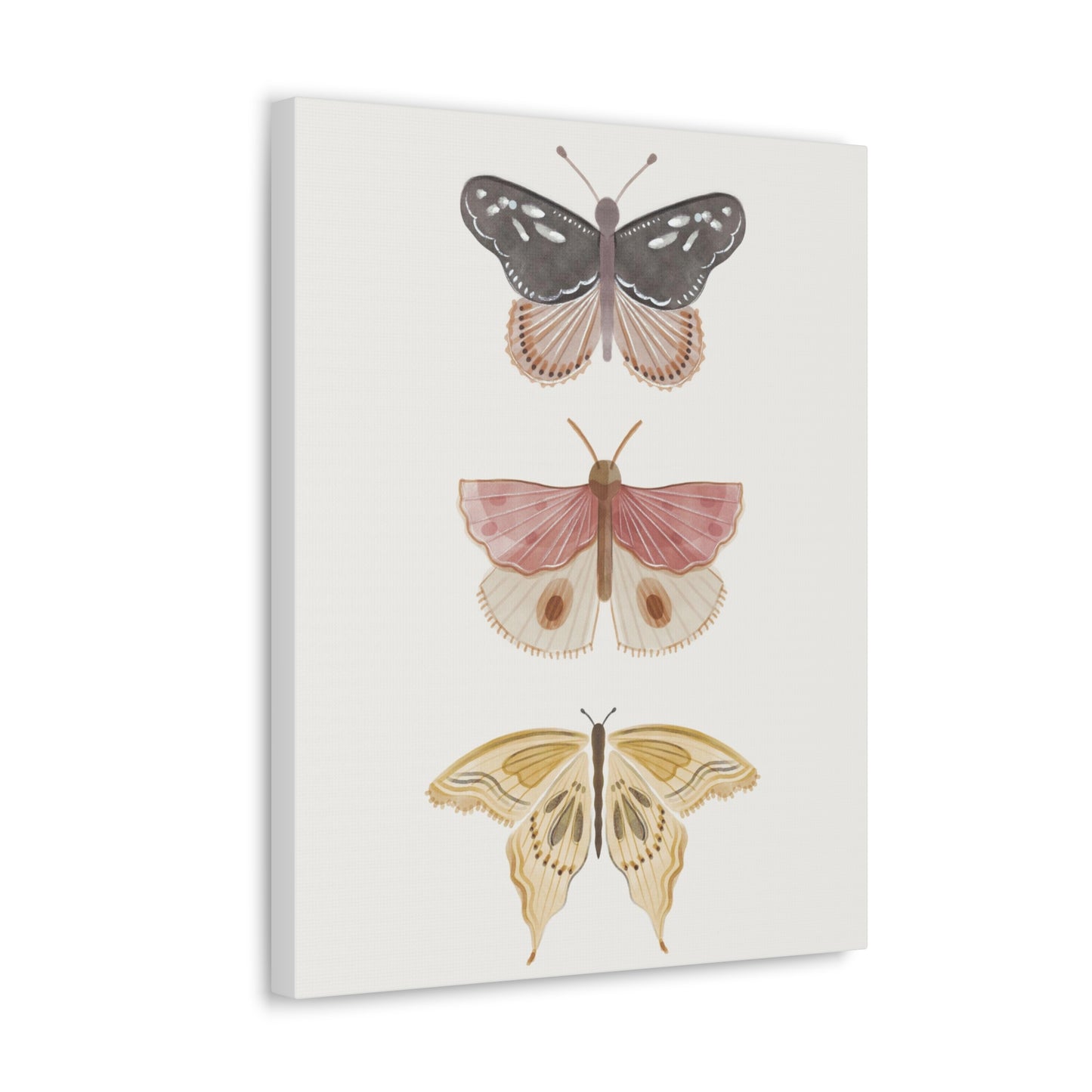 Butterfly Canvas