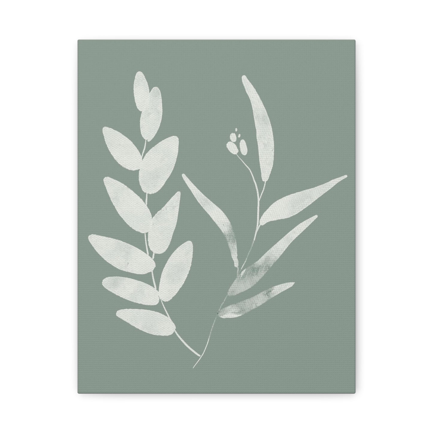 Chalky Green Plant Canvas