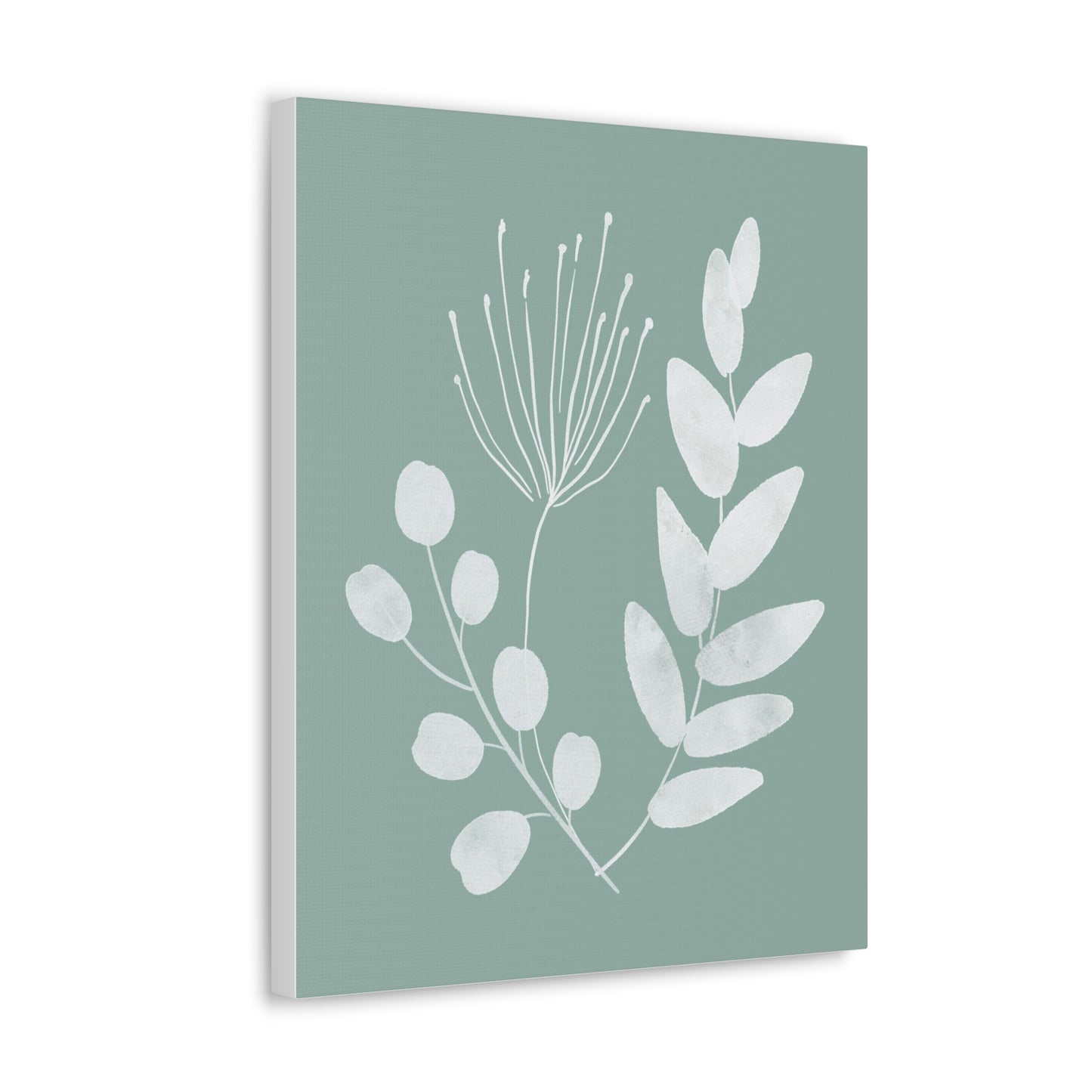 Sage Green Plant Canvas