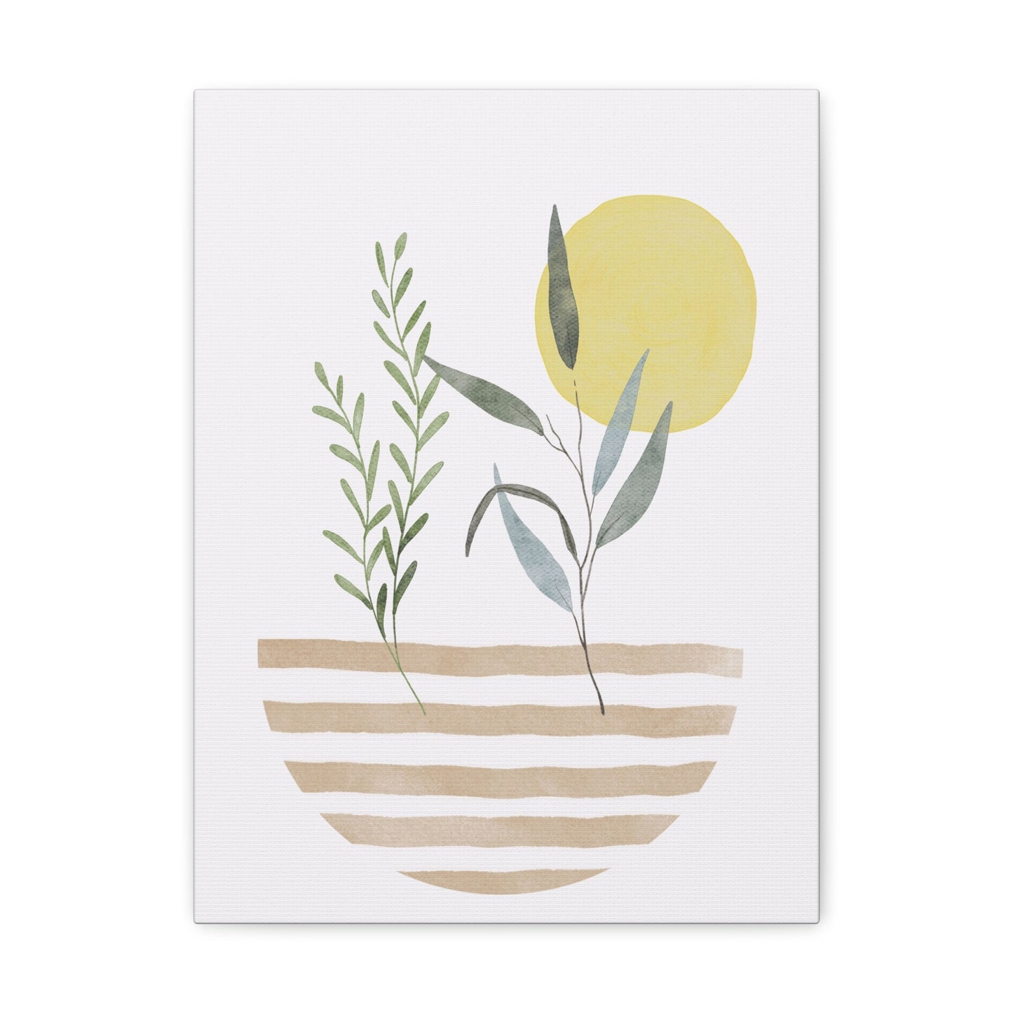 House Plant Canvas