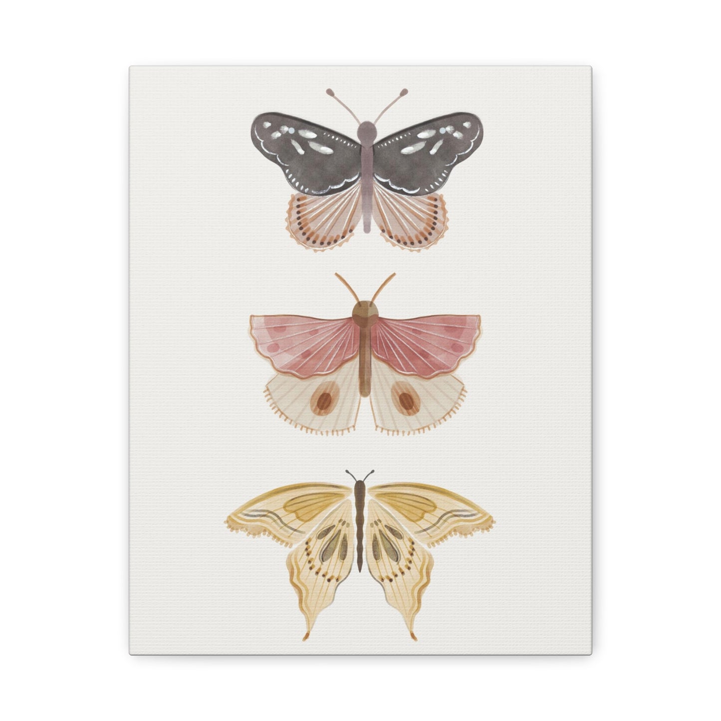 Butterfly Canvas