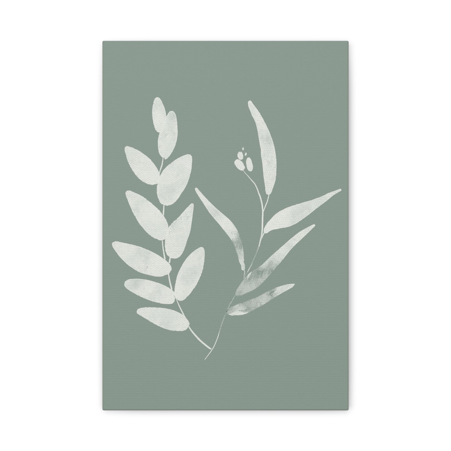 Chalky Green Plant Canvas