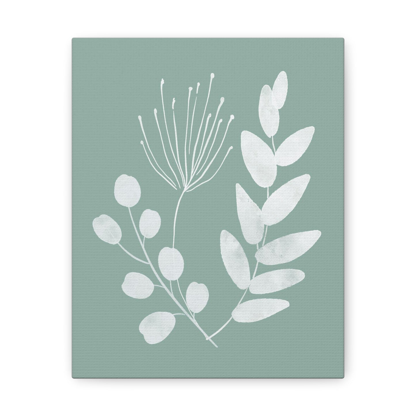 Sage Green Plant Canvas