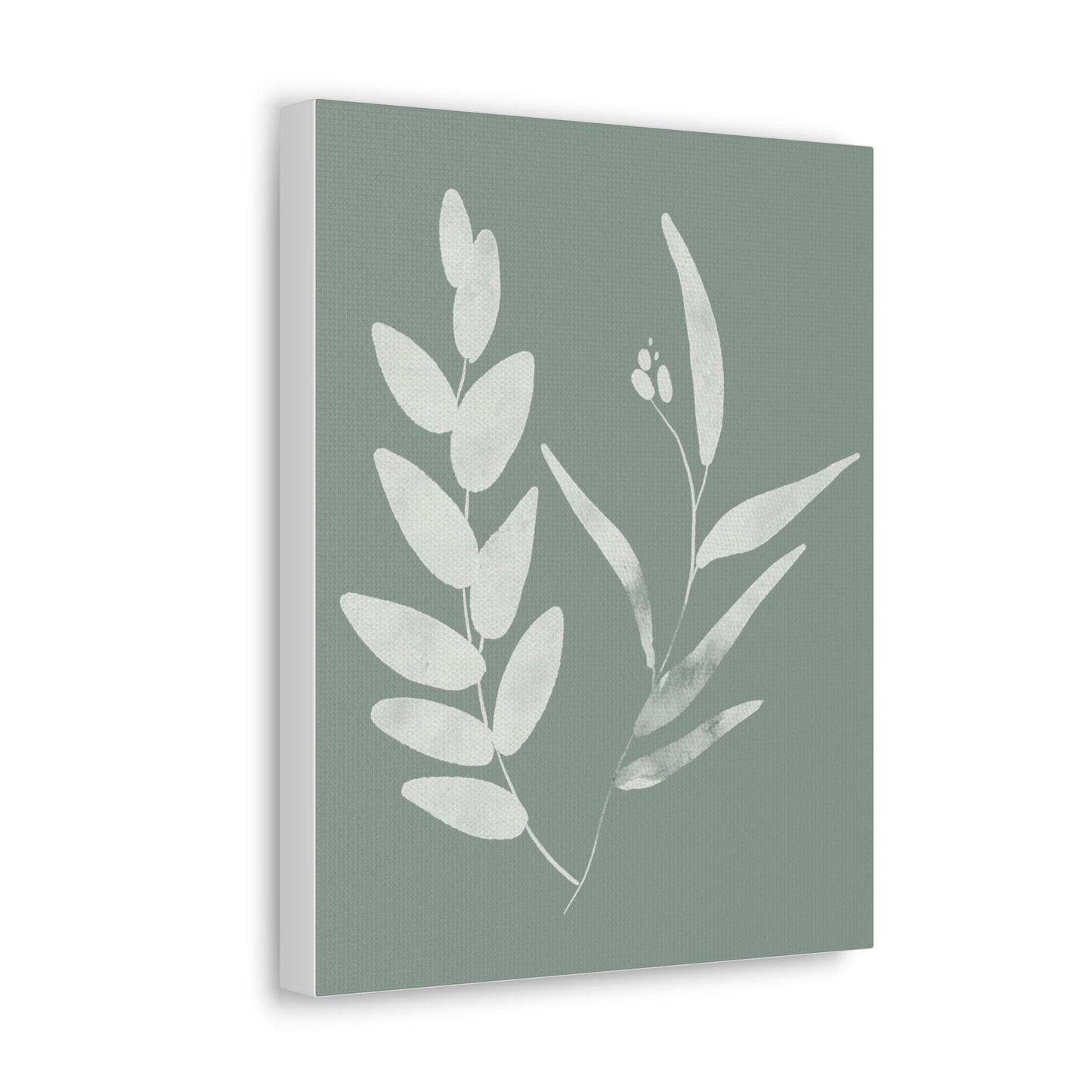 Chalky Green Plant Canvas