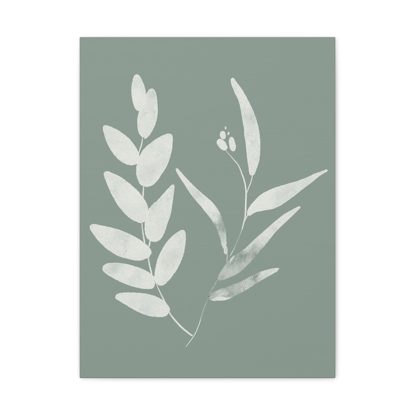 Chalky Green Plant Canvas