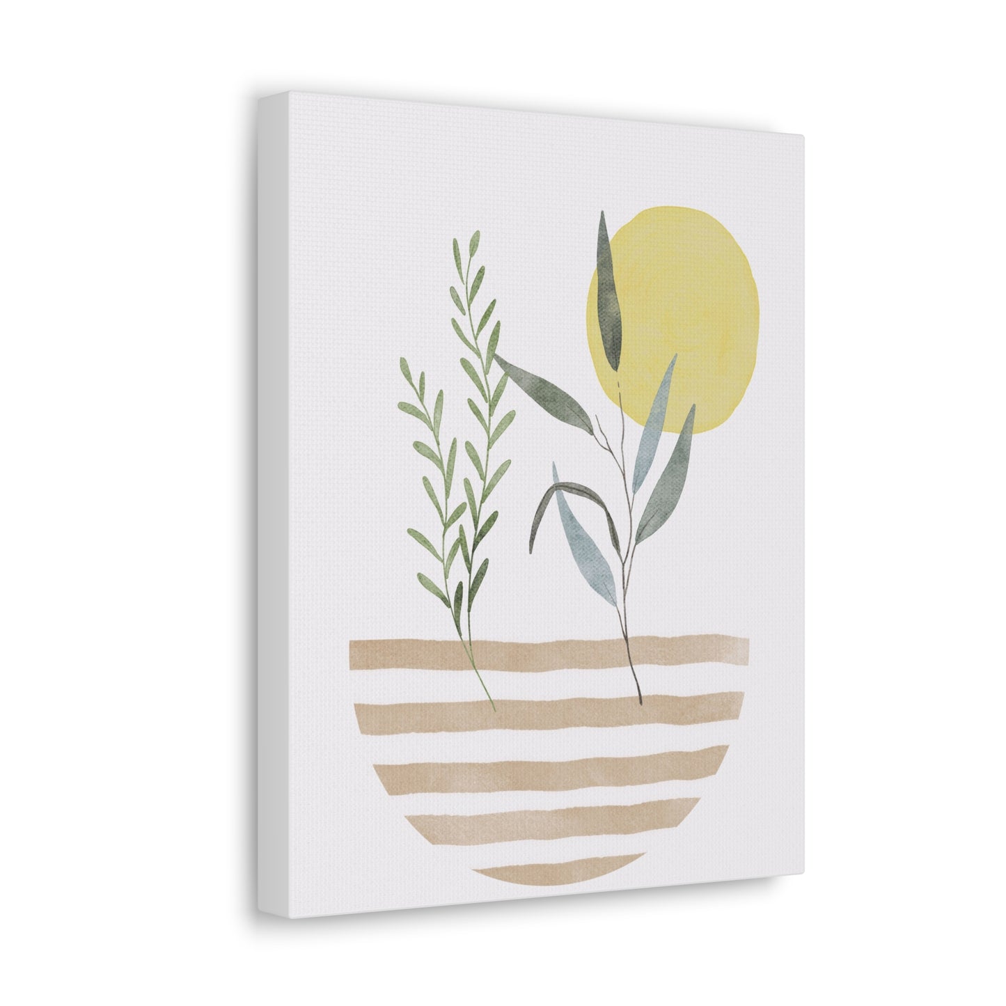 House Plant Canvas