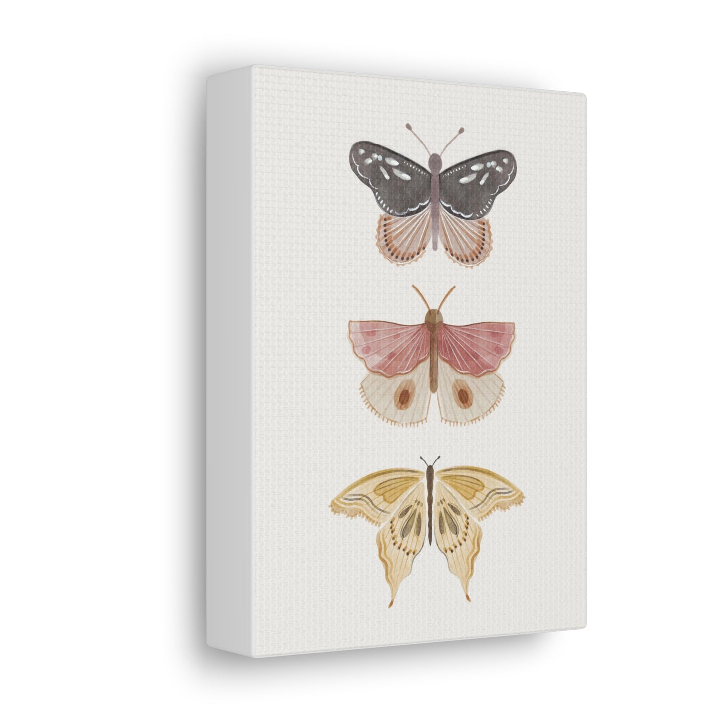 Butterfly Canvas