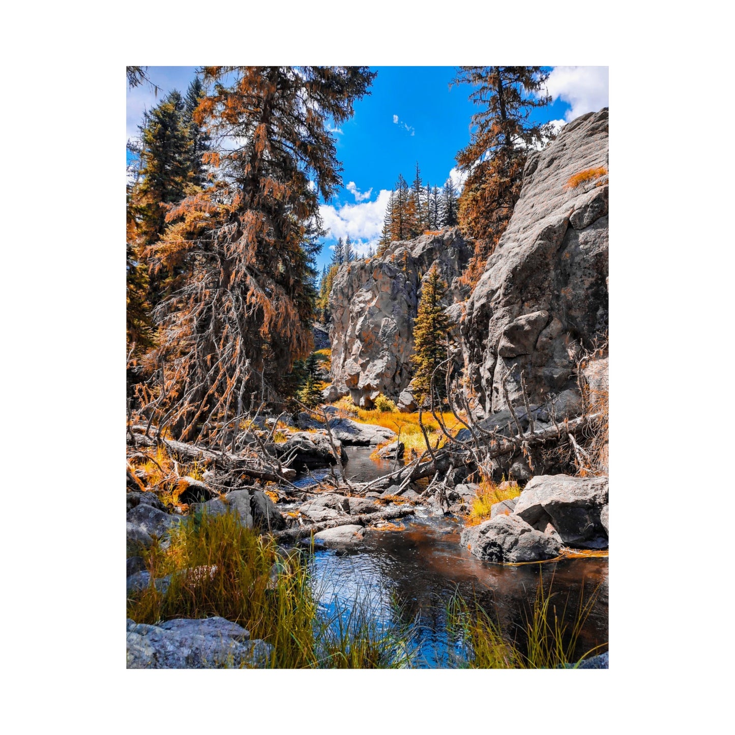 Autumn Stream Art Print (frame not included)