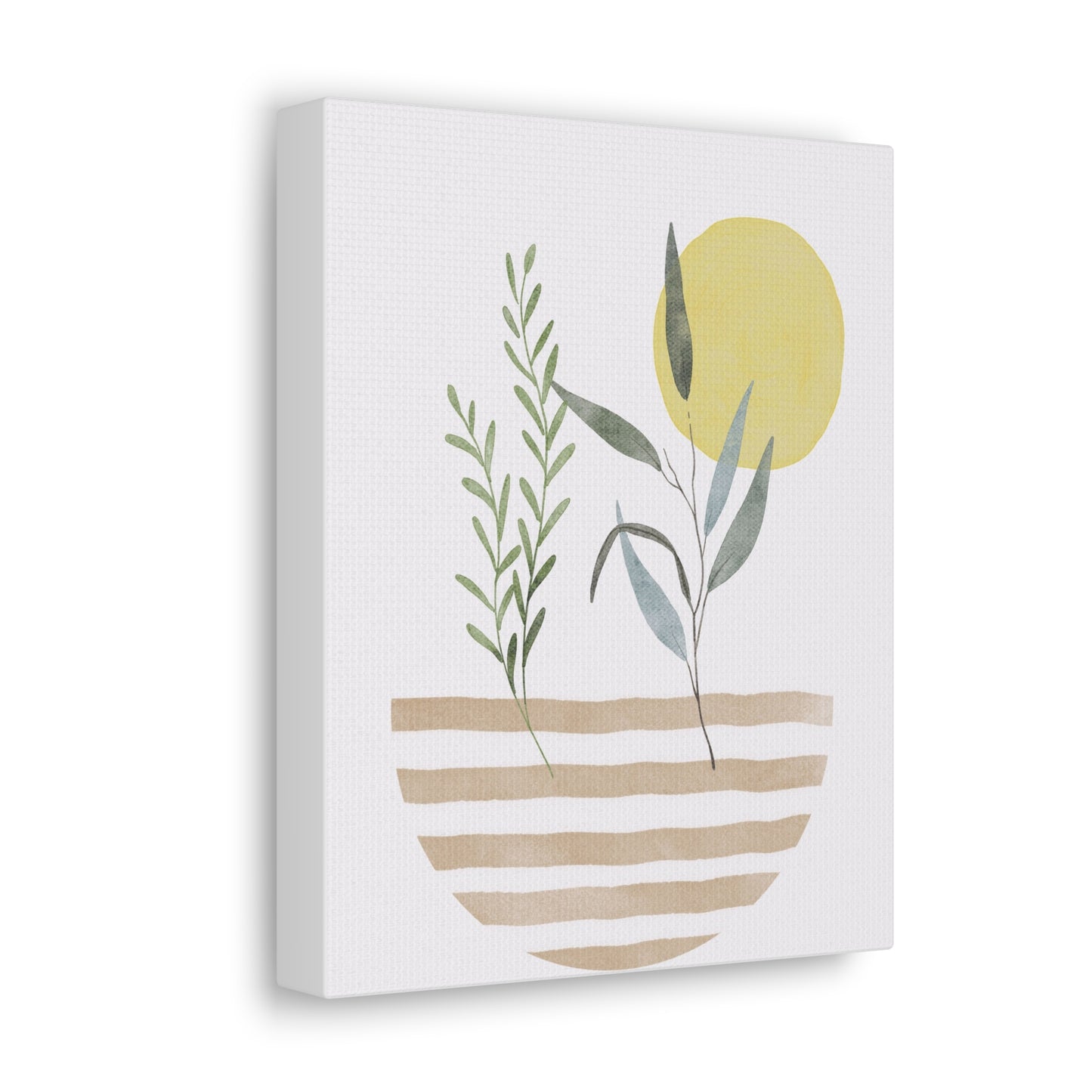 House Plant Canvas