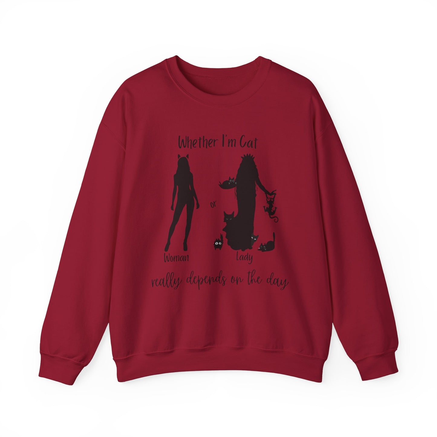 Funny Cat Lover Sweatshirt