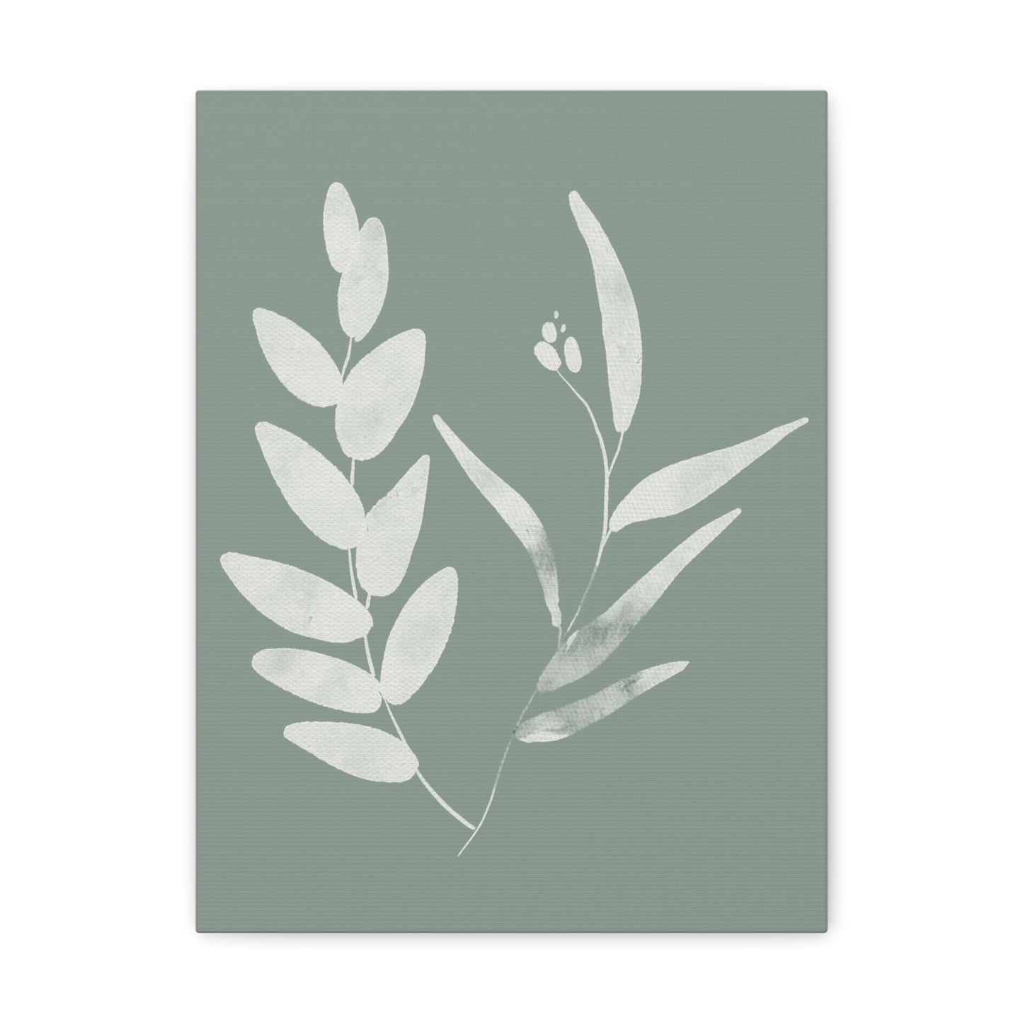 Chalky Green Plant Canvas