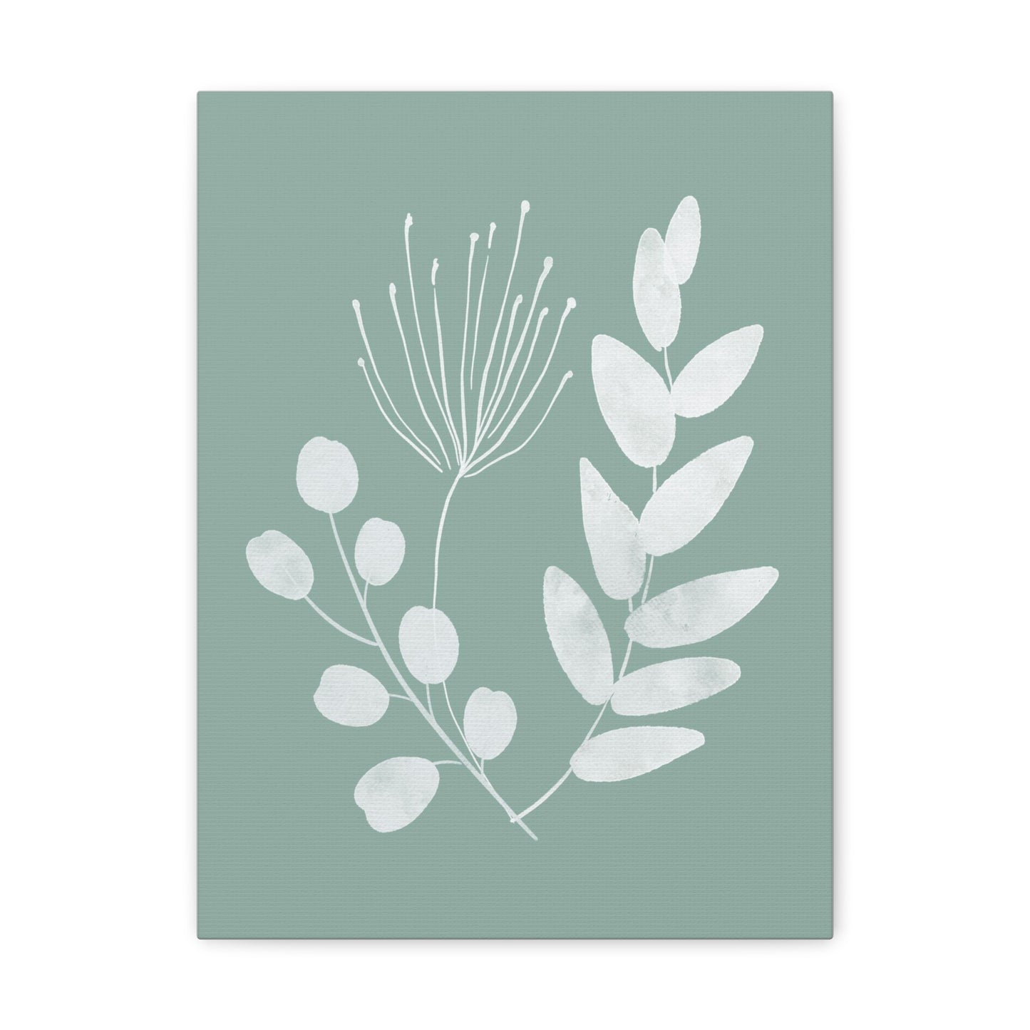 Sage Green Plant Canvas