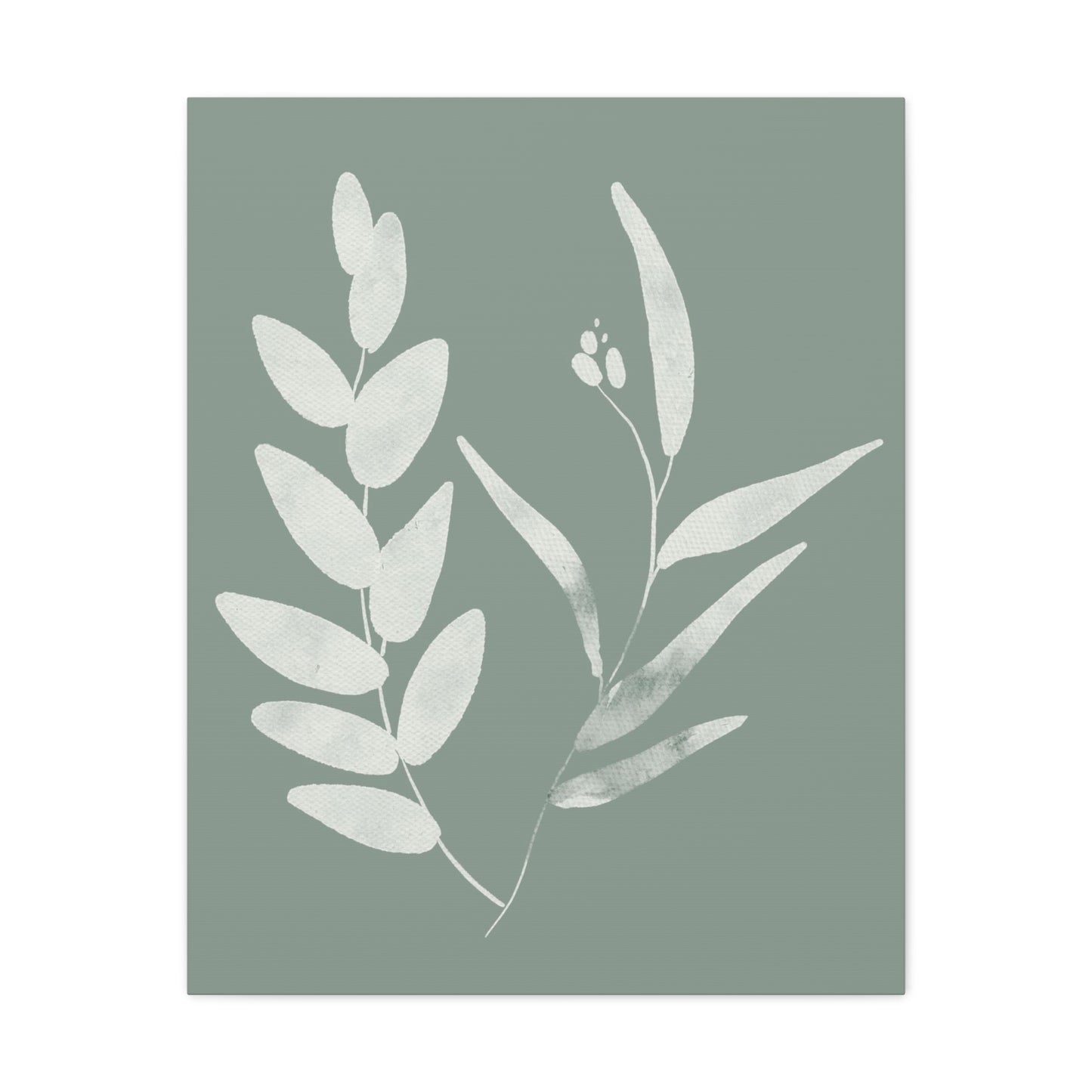 Chalky Green Plant Canvas