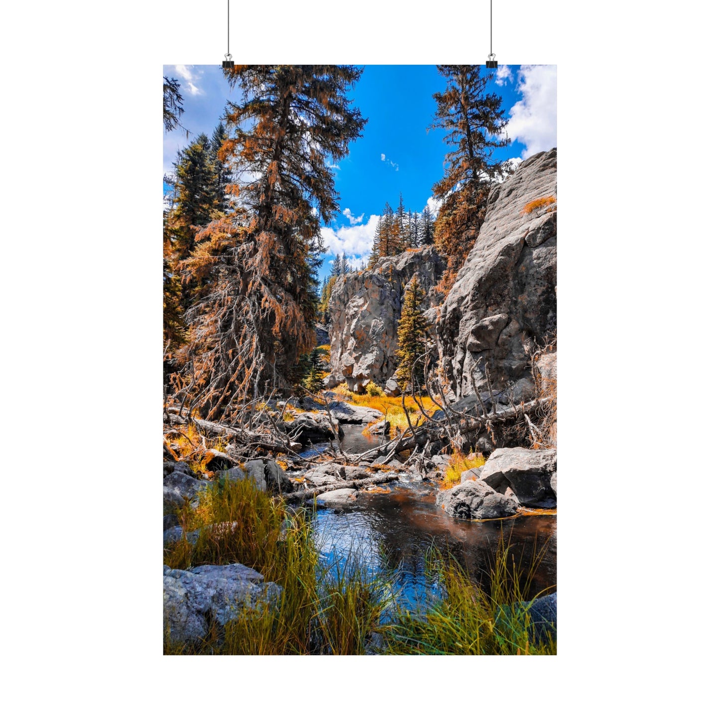 Autumn Stream Art Print (frame not included)