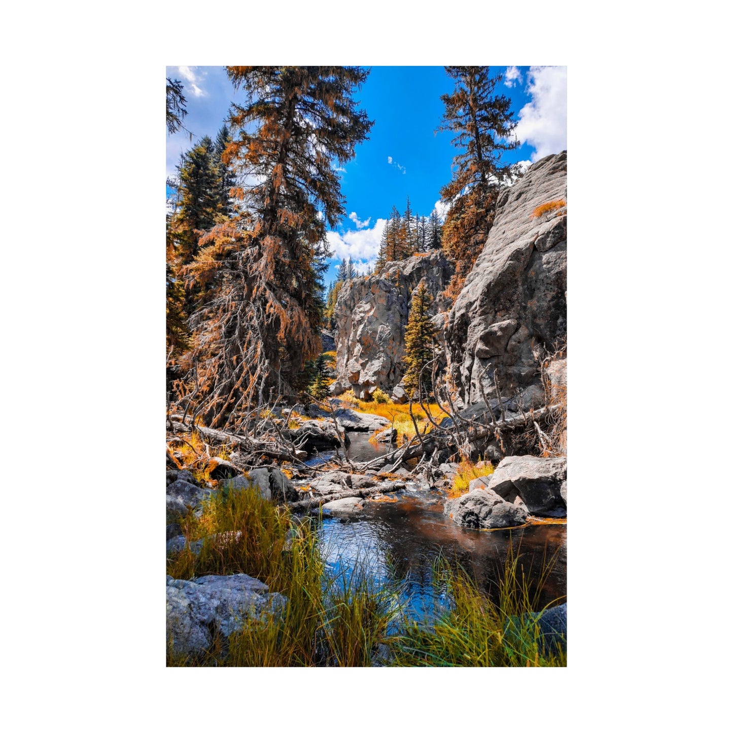 Autumn Stream Art Print (frame not included)