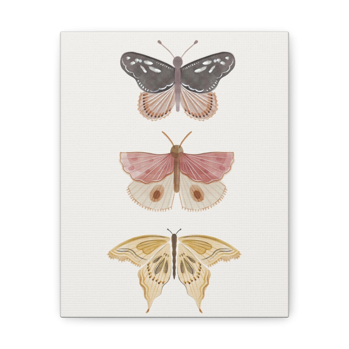 Butterfly Canvas