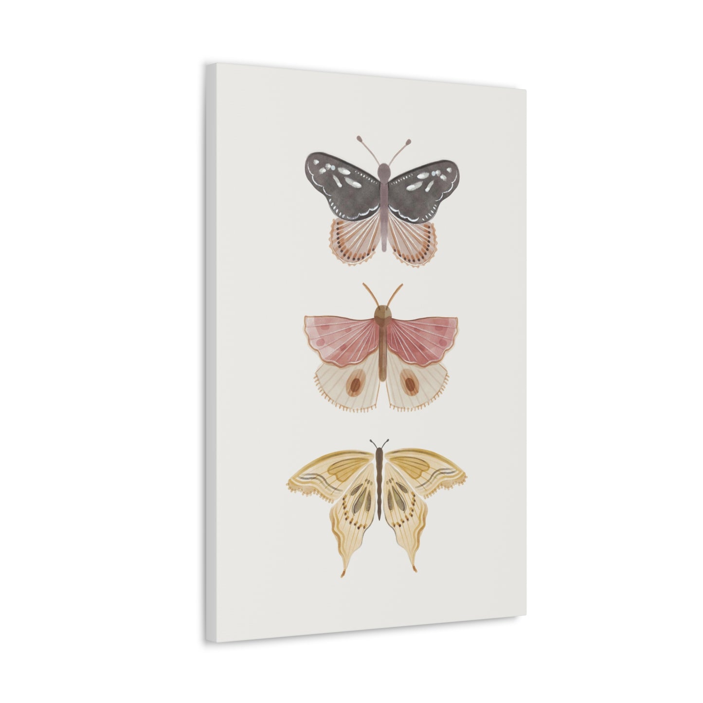 Butterfly Canvas