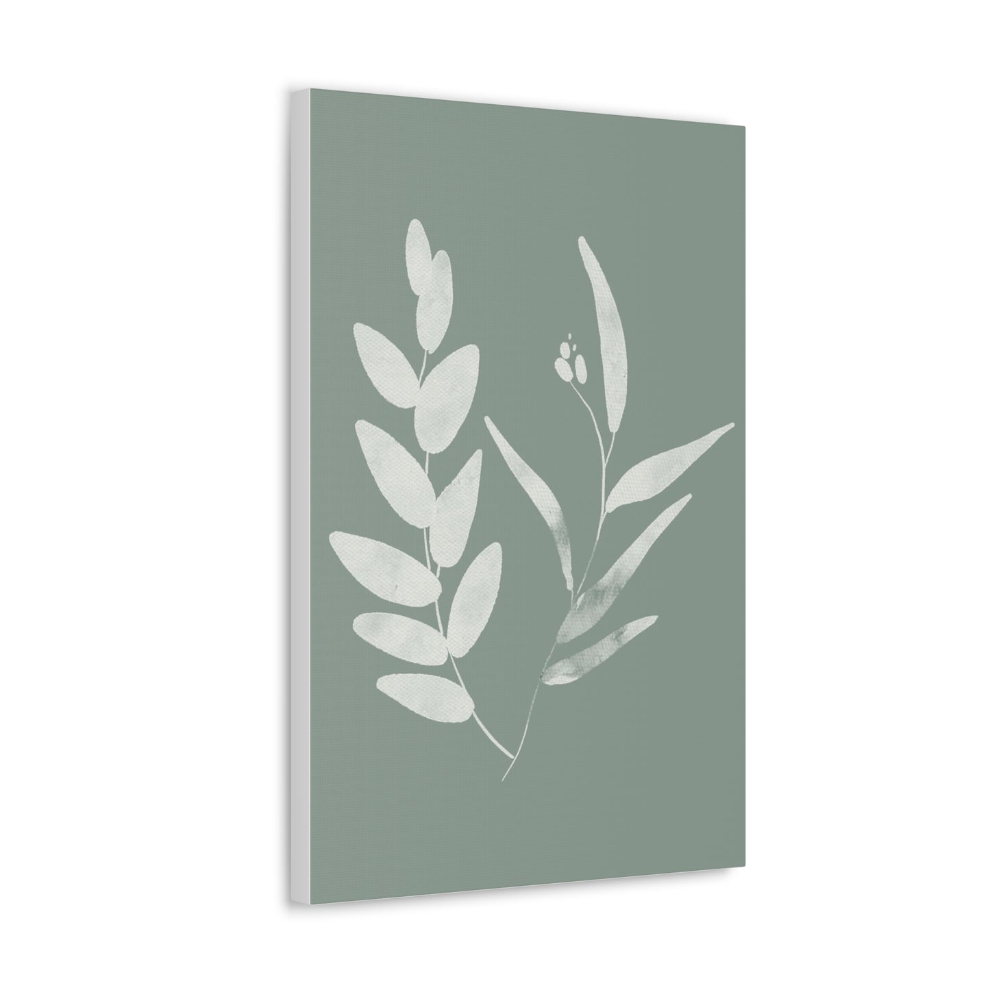 Chalky Green Plant Canvas