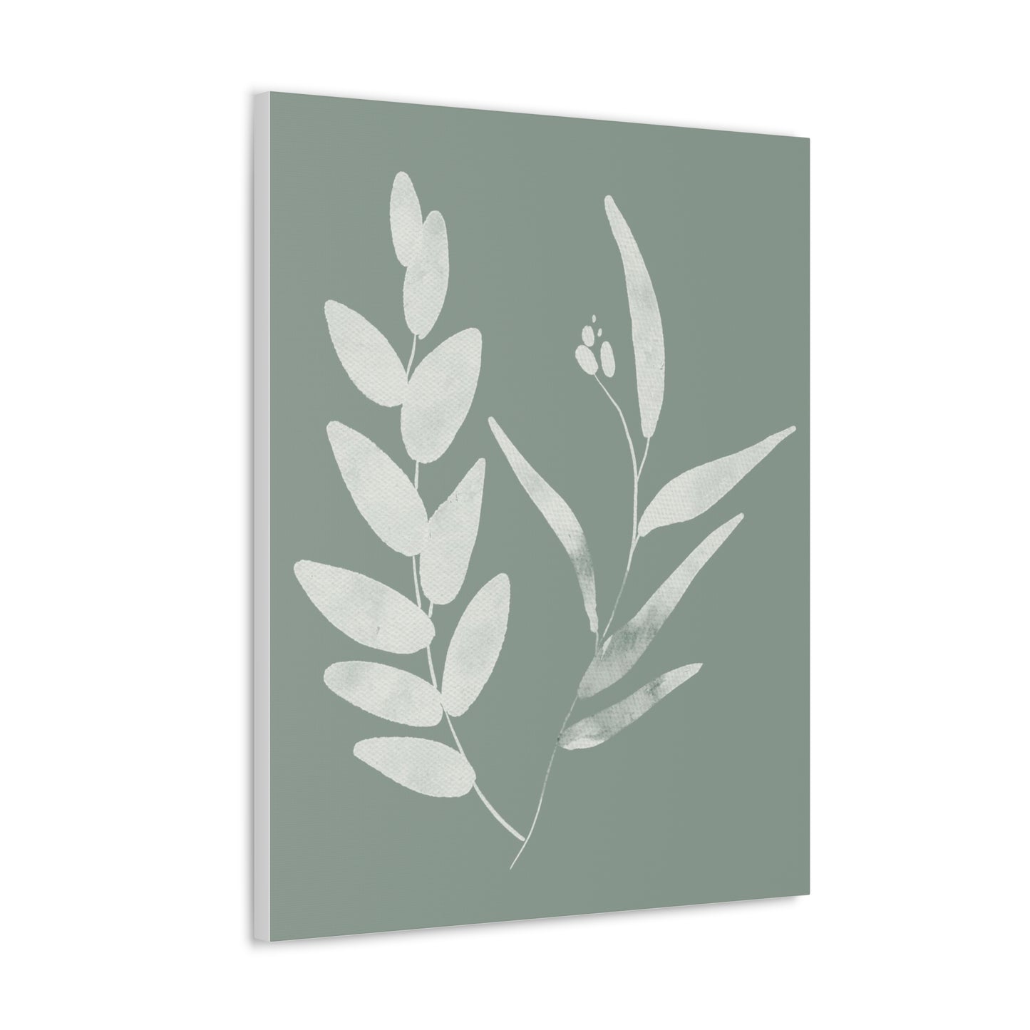 Chalky Green Plant Canvas