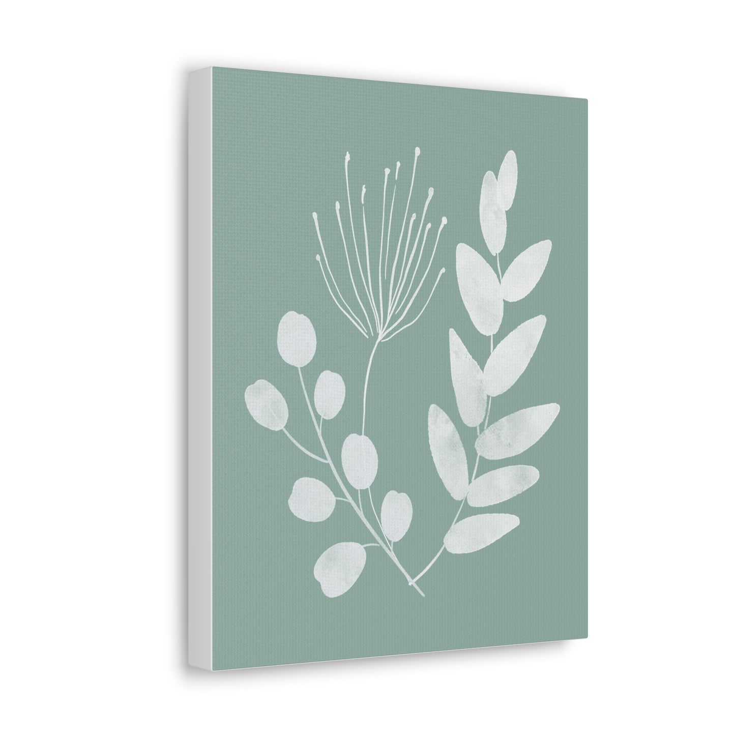 Sage Green Plant Canvas