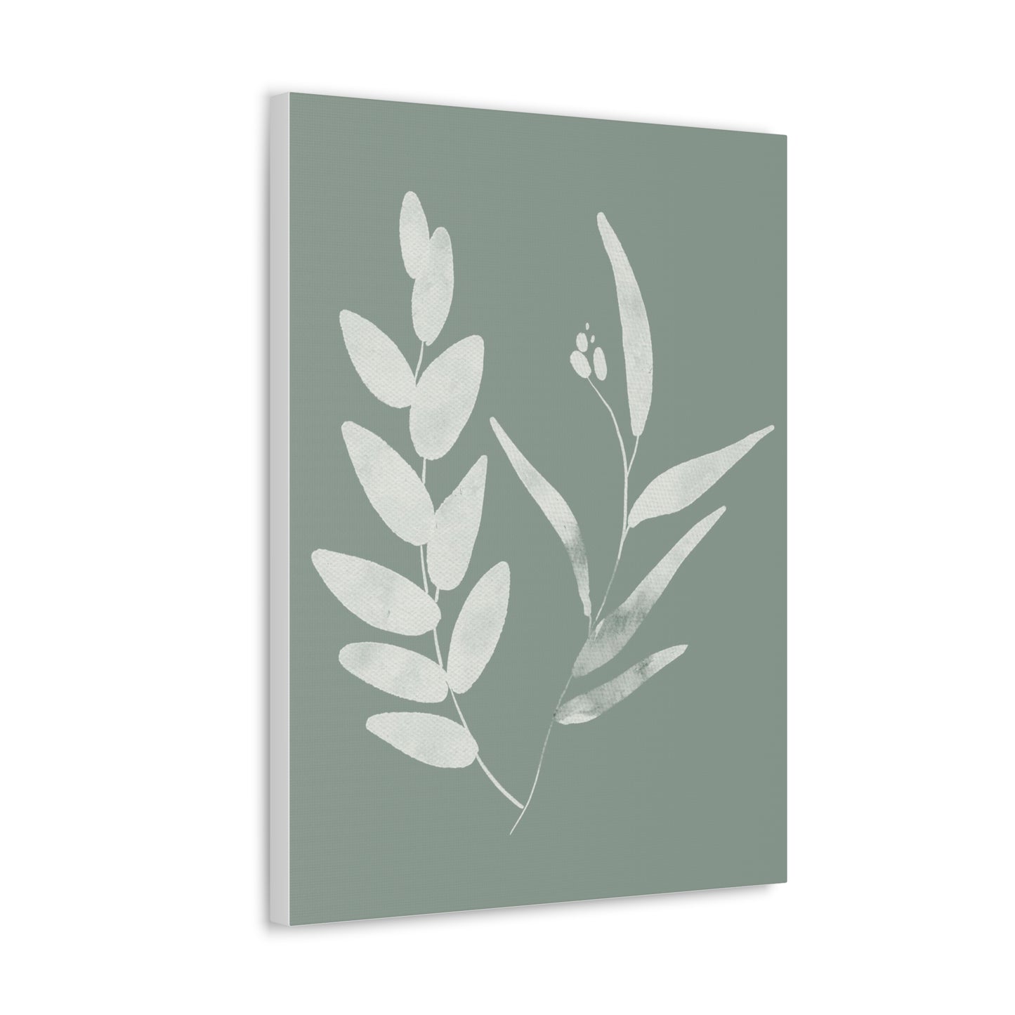 Chalky Green Plant Canvas