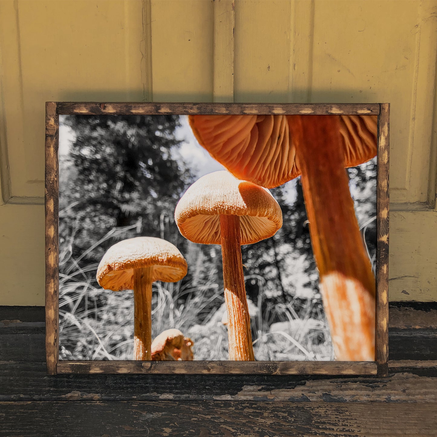 3 Wise Mushrooms (frame not included)