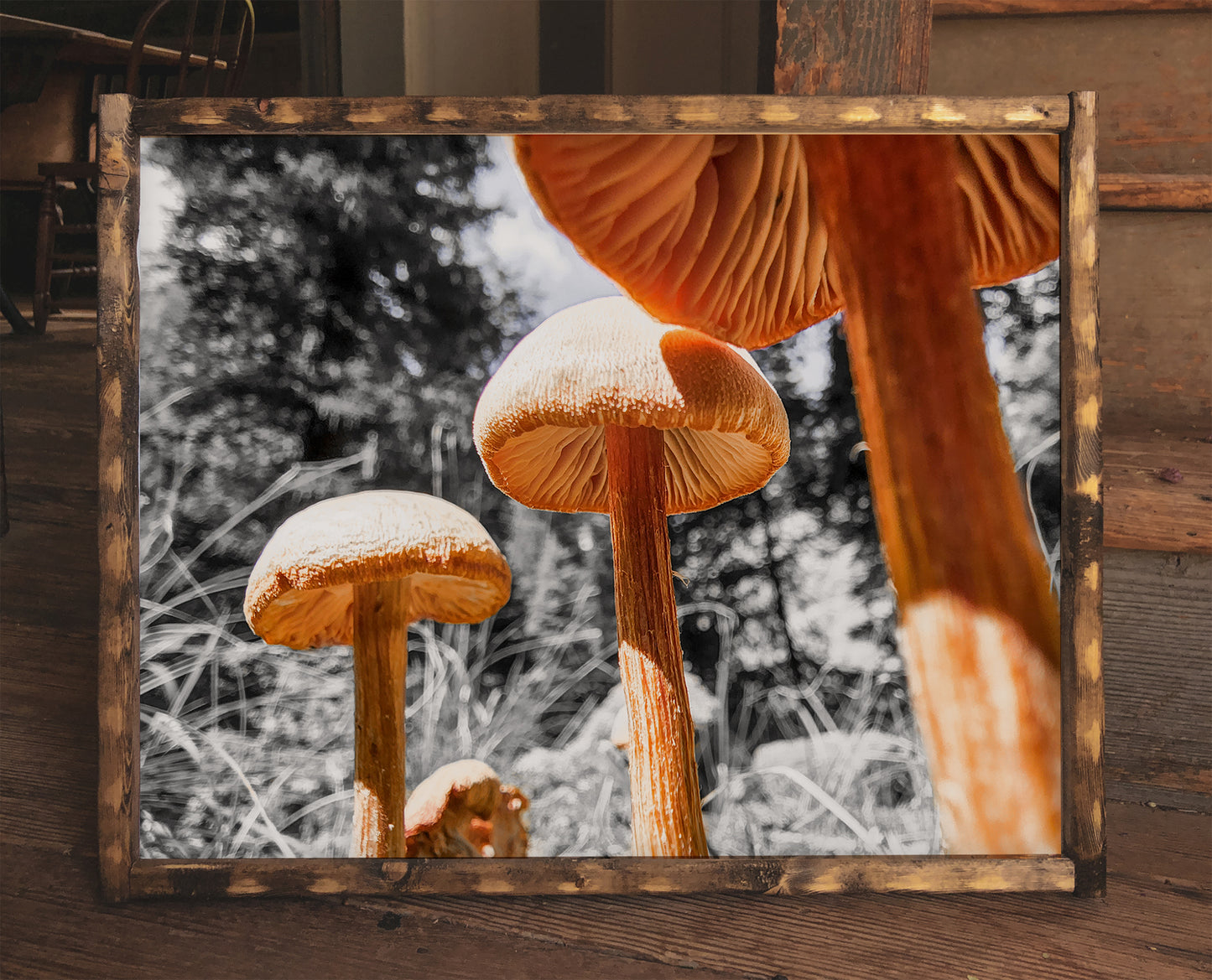 3 Wise Mushrooms (frame not included)