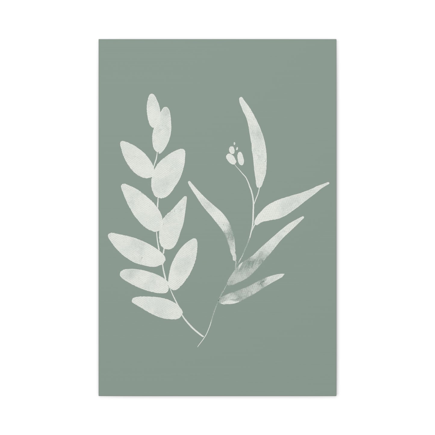 Chalky Green Plant Canvas