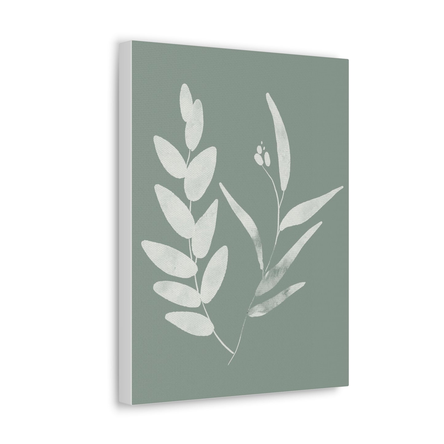 Chalky Green Plant Canvas