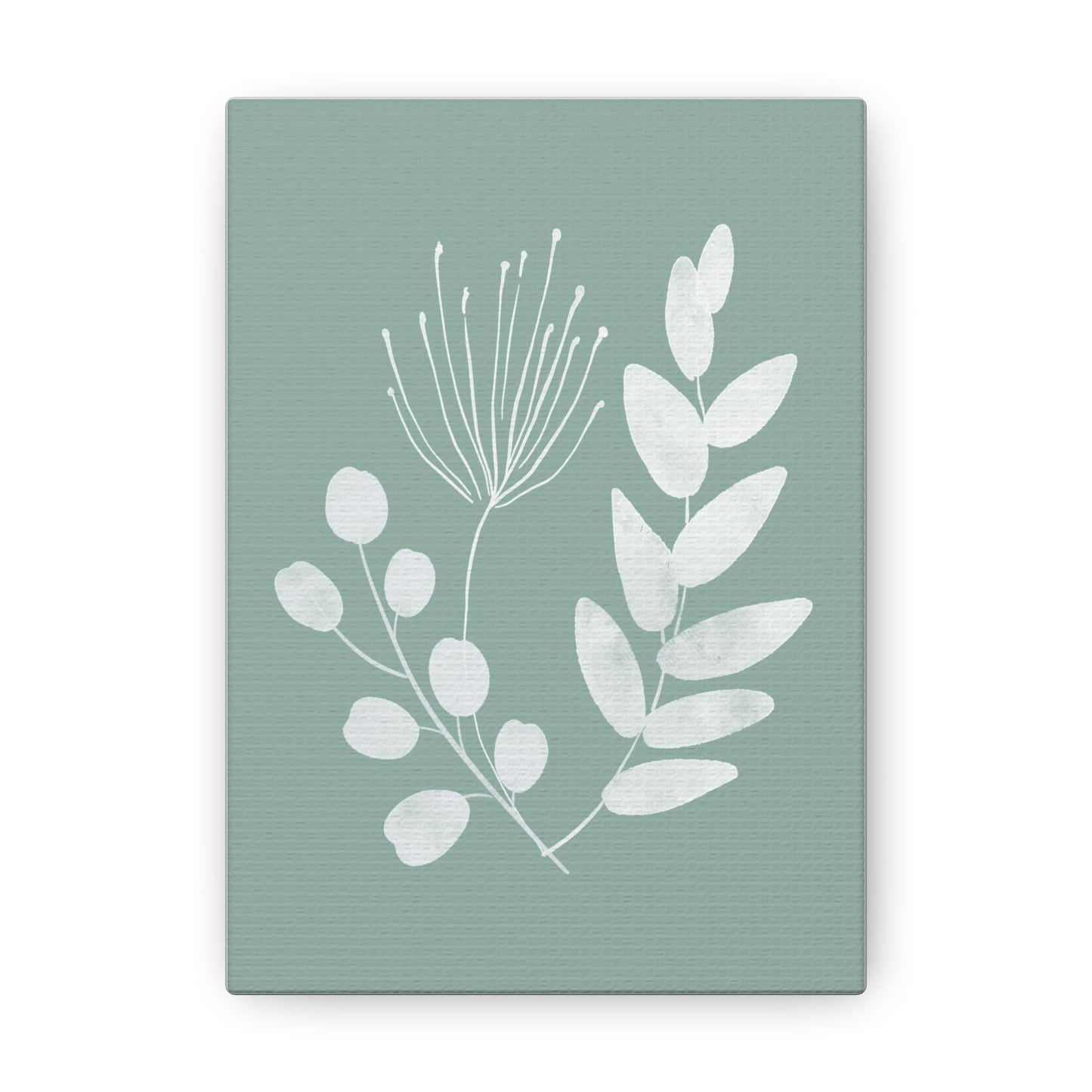 Sage Green Plant Canvas