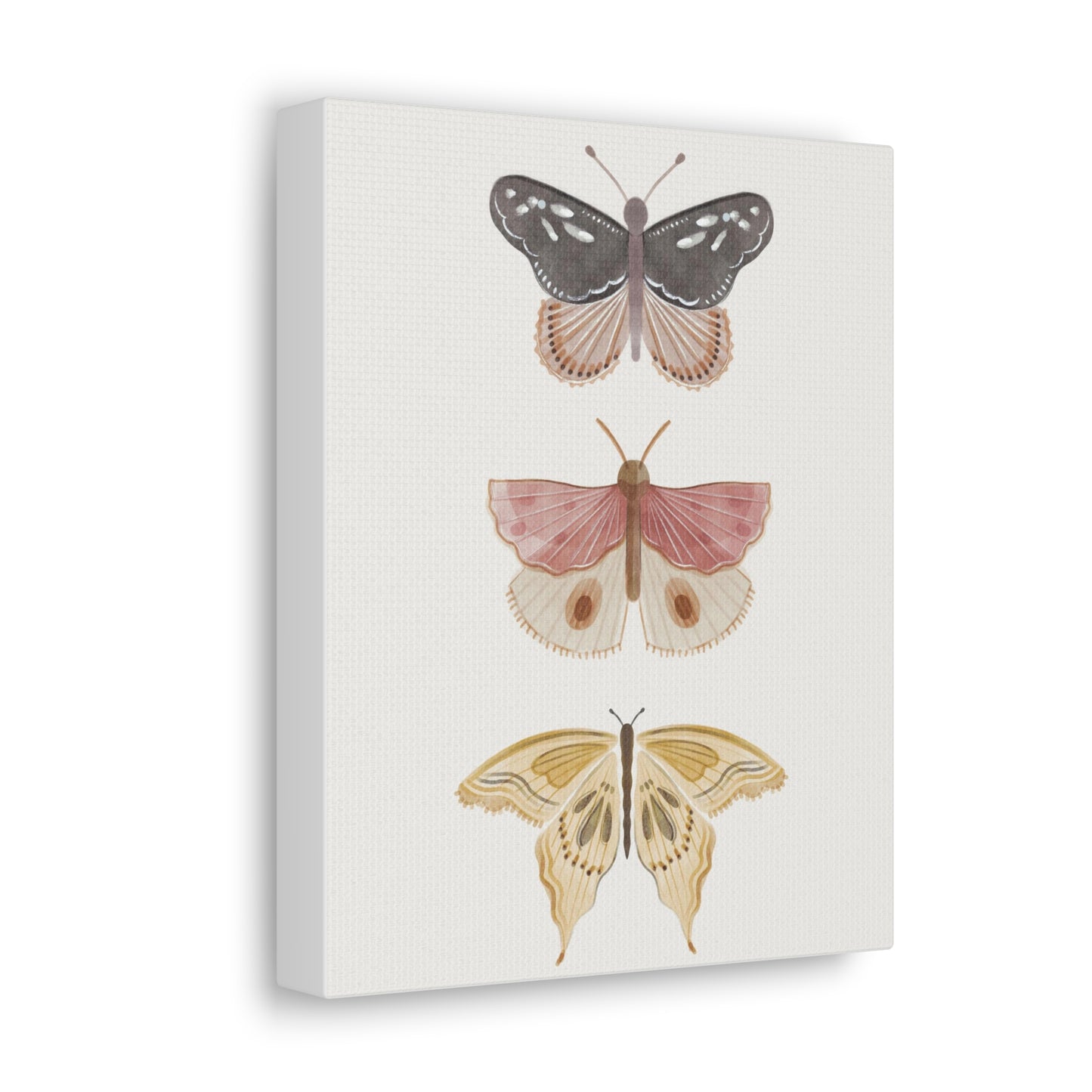 Butterfly Canvas