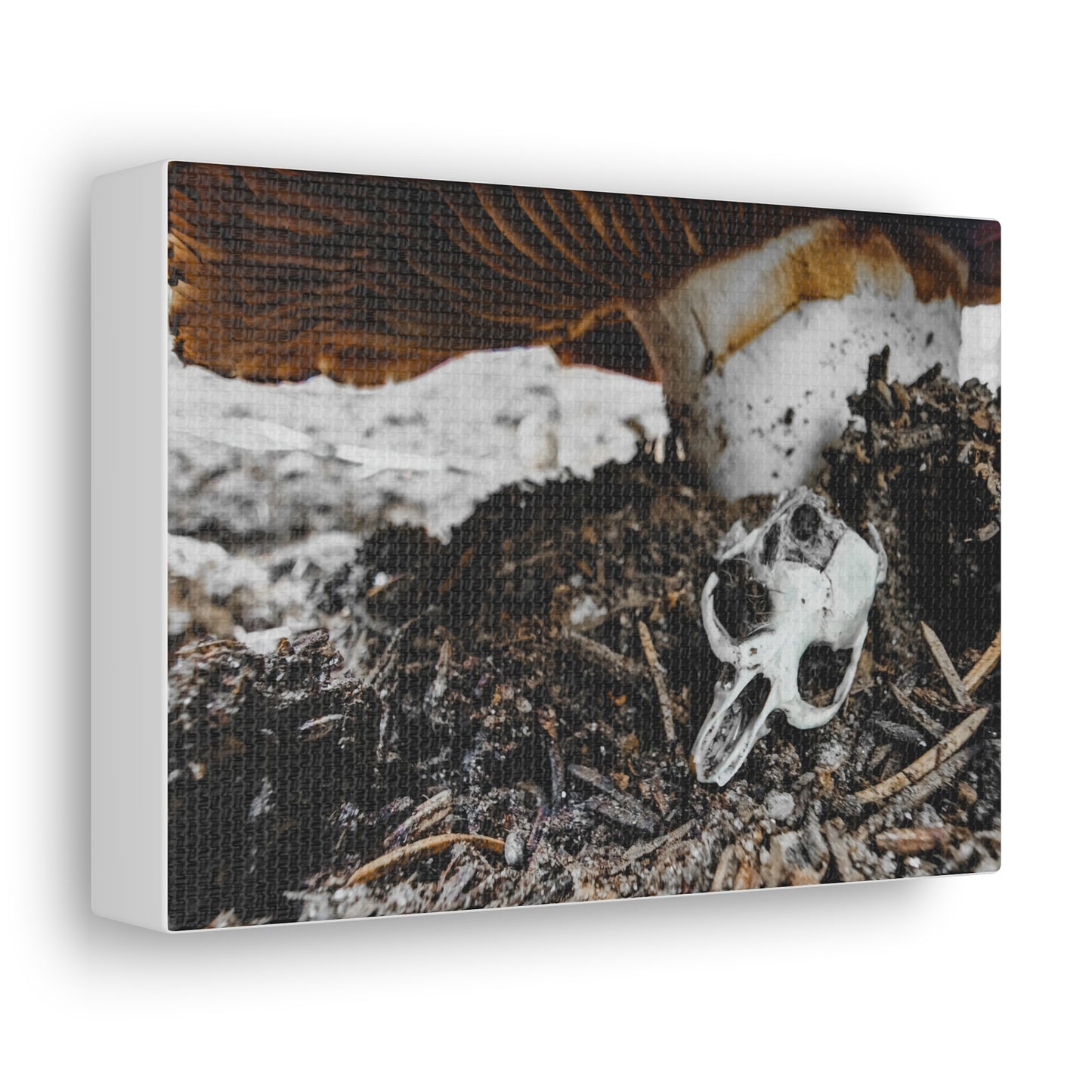 Mushroom Skull Canvas