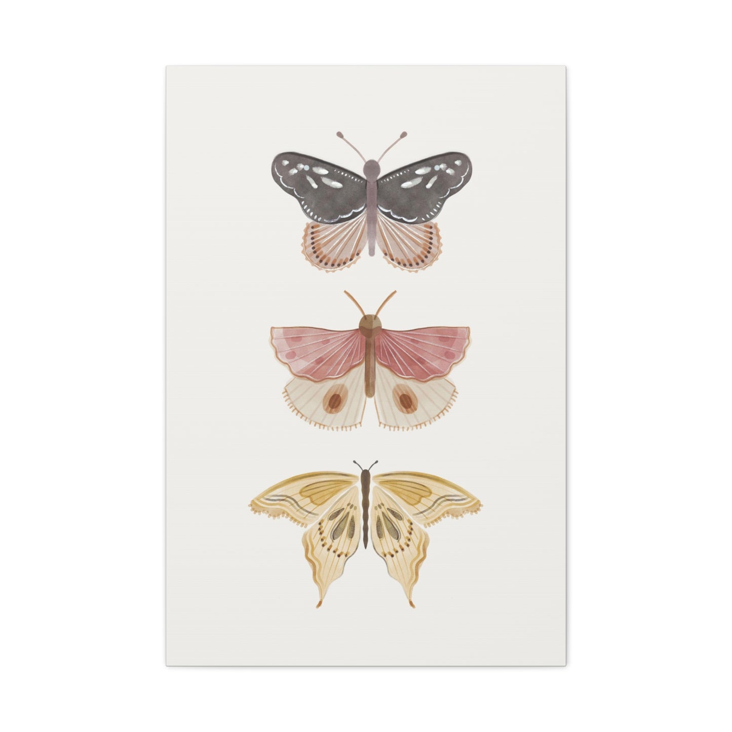 Butterfly Canvas