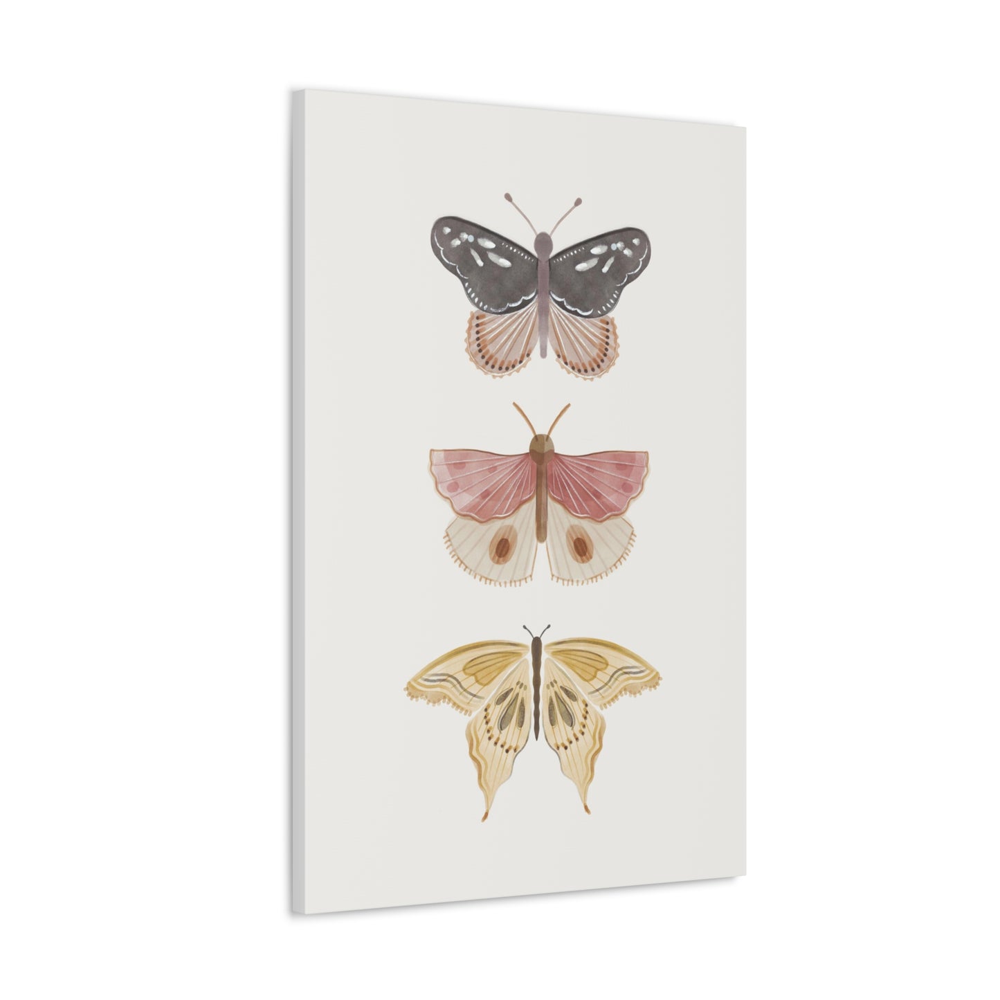 Butterfly Canvas