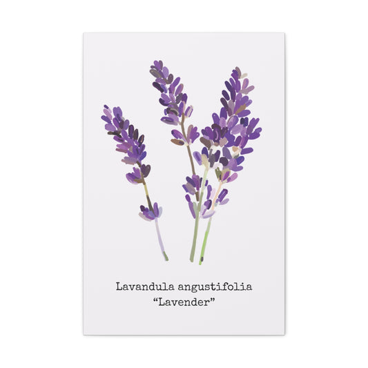 lavender wall art