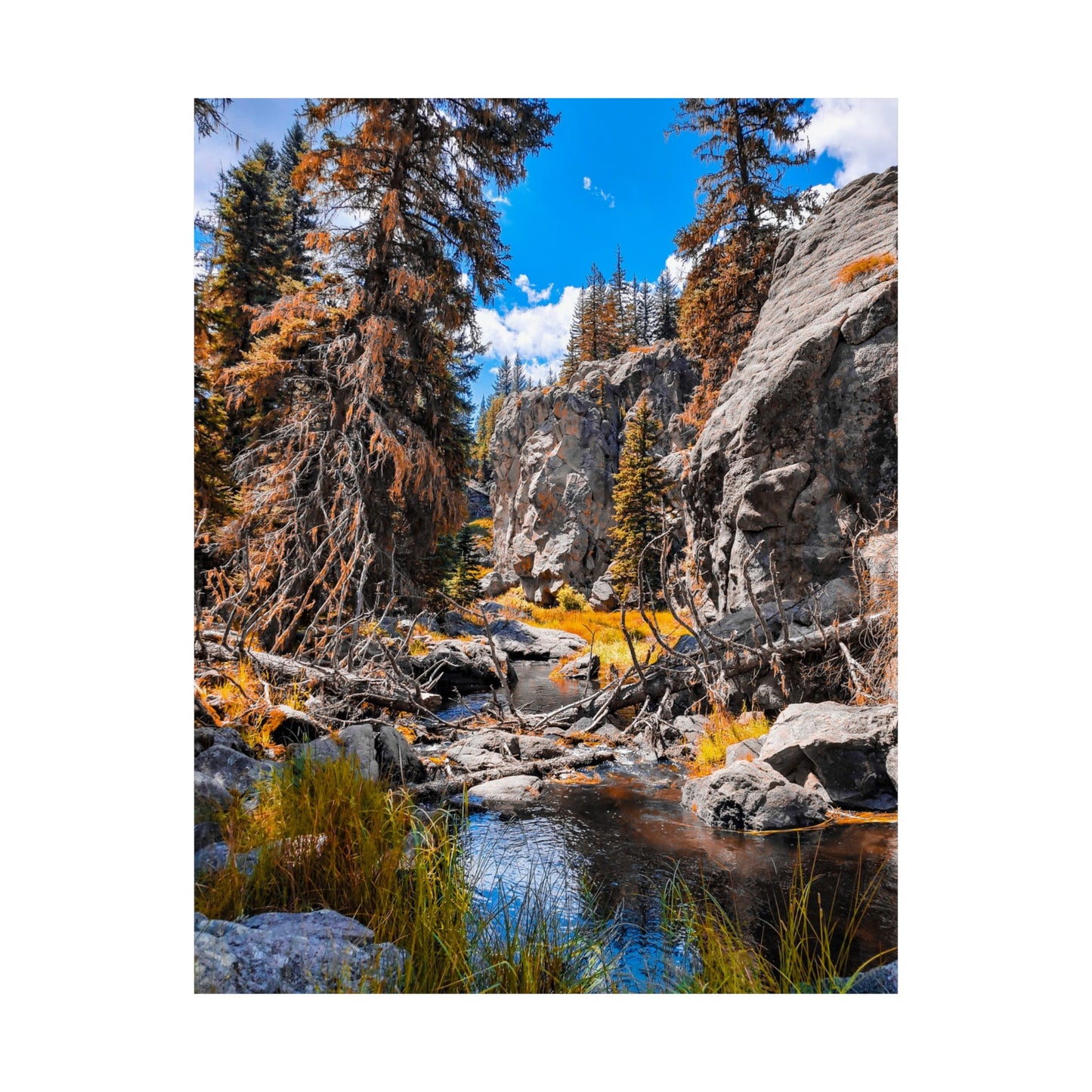 Autumn Stream Art Print (frame not included)