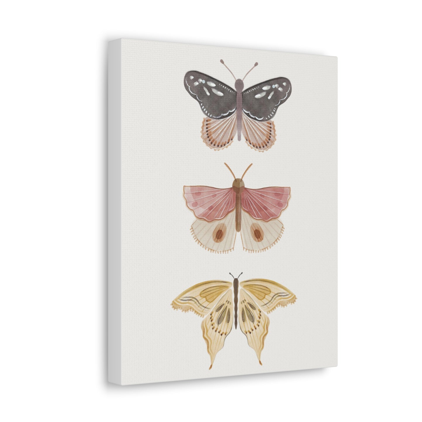 Butterfly Canvas