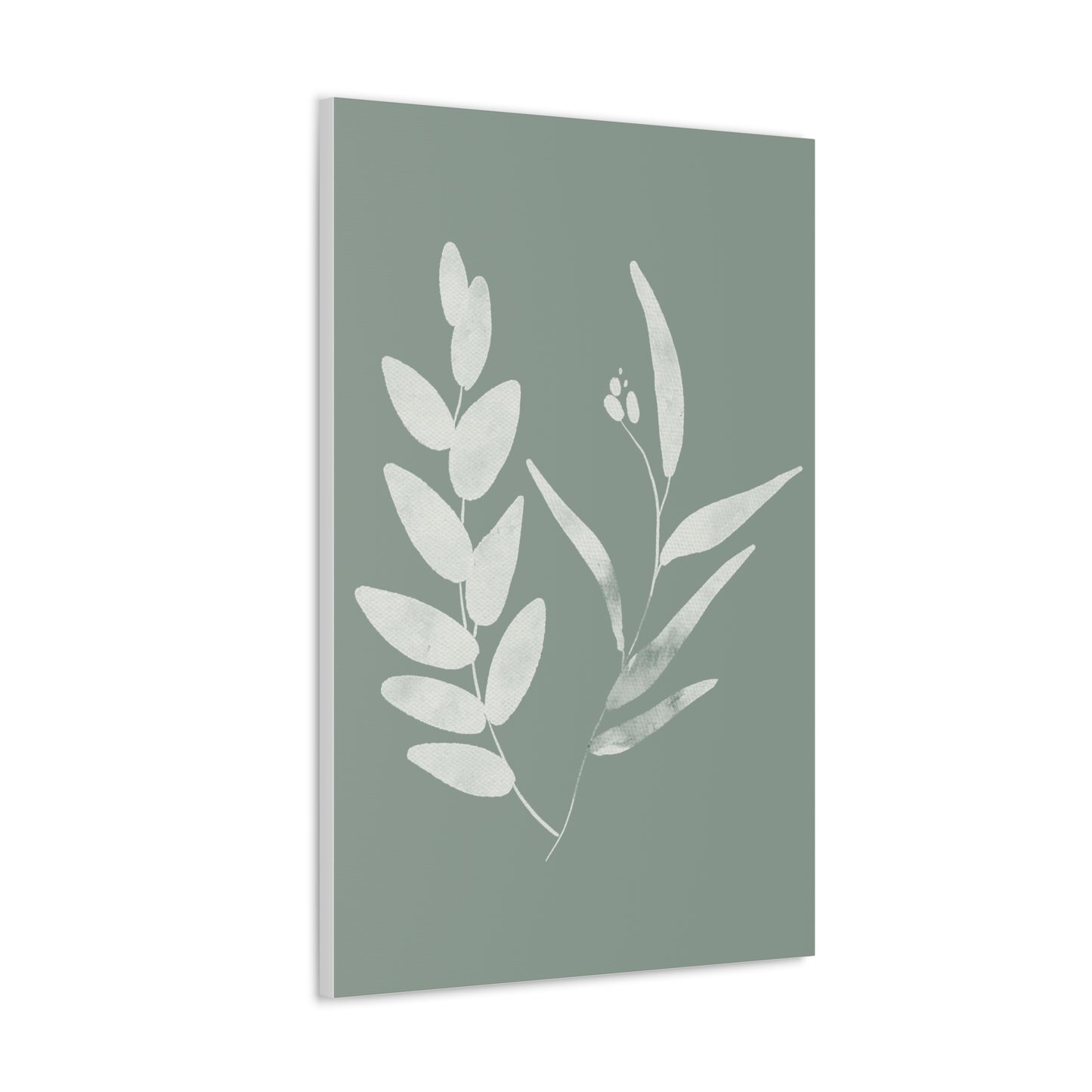 Chalky Green Plant Canvas