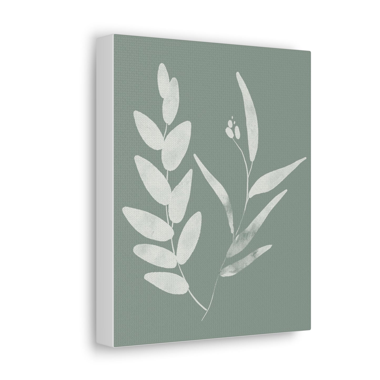 Chalky Green Plant Canvas