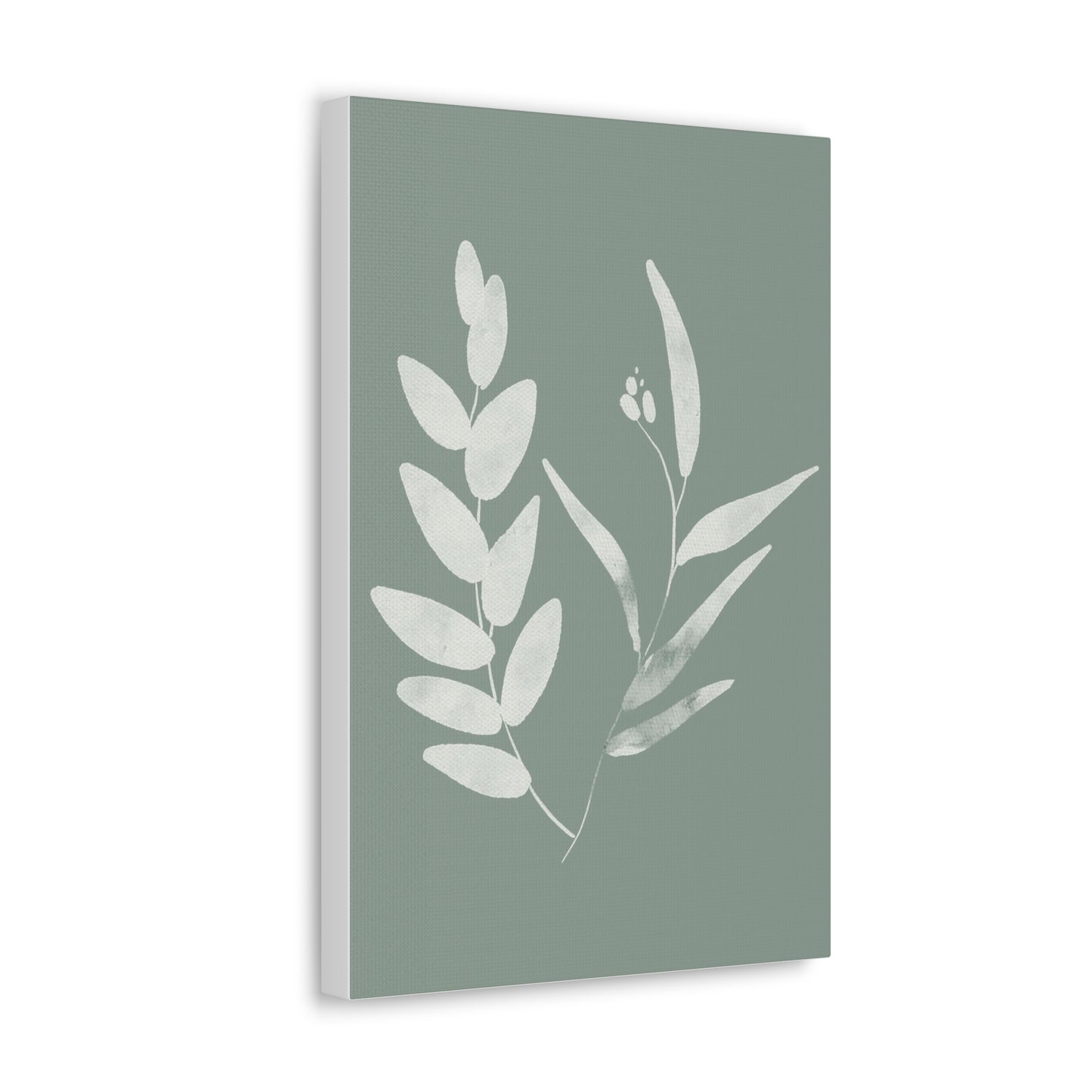 Chalky Green Plant Canvas