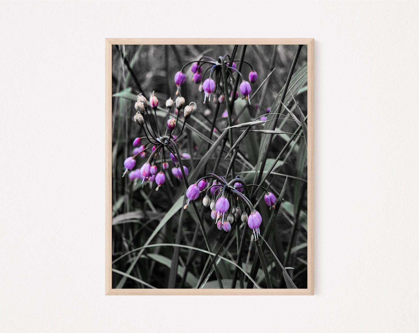 Black White Purple Flowers Art Print (frame not included)