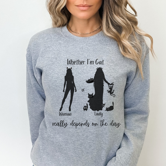 funny crazy cat lady sweatshirt